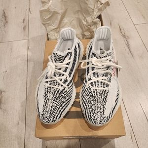 Adidas Yeezy 350 V2